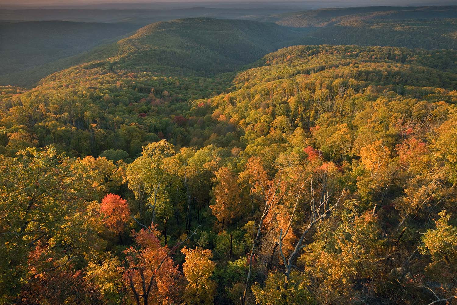 Ozark Highlands