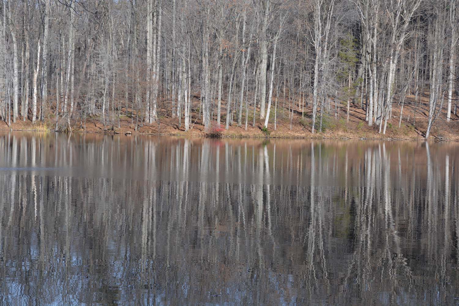 Seneca Creek State Park