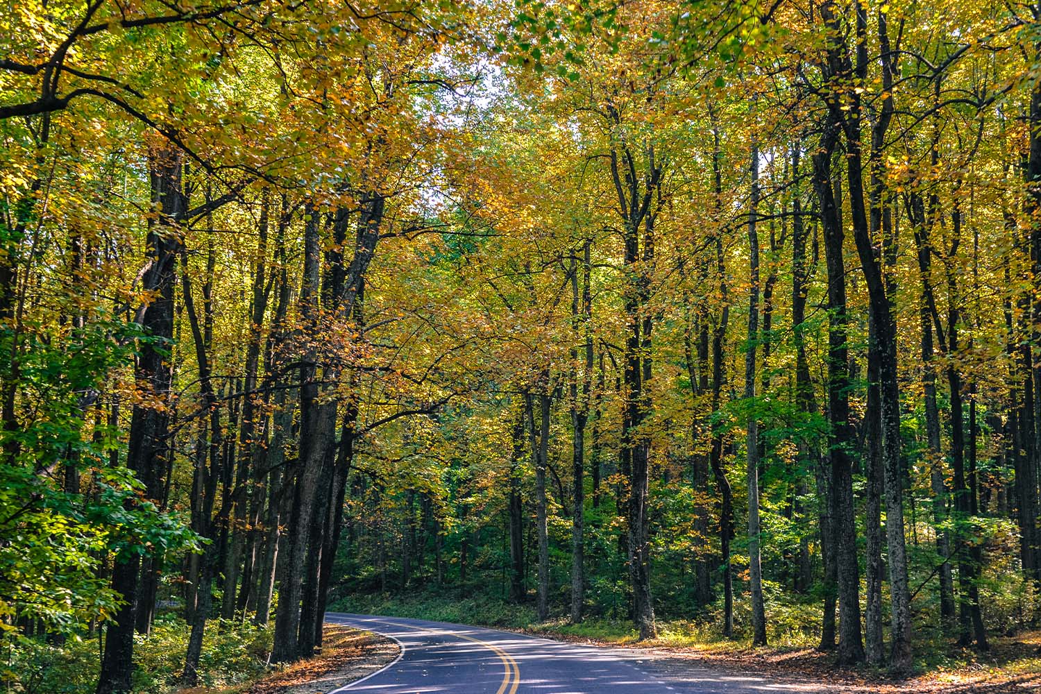Skyline Drive