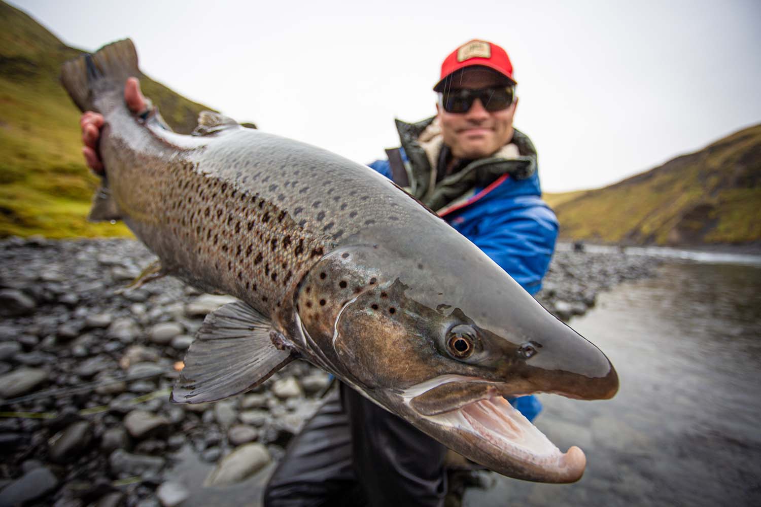 Sea-run brown trout are fished using Spey rods