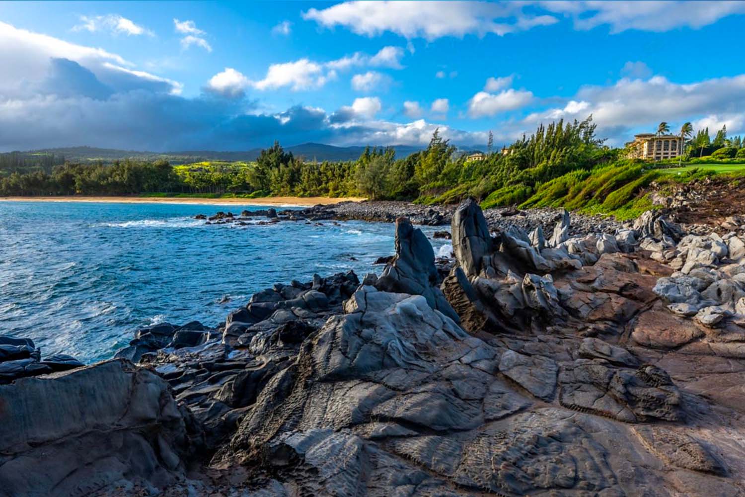 The Ritz-Carlton Maui