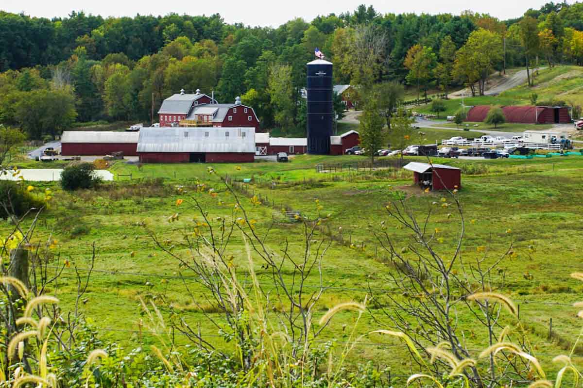 The The WhistlePig Farm is a rugged and fertile ground for whiskey exploration, surrounded by 500 acres of Rye and experimental crop fields
