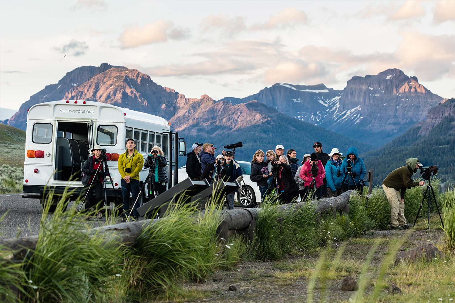 Yellowstone Forever van