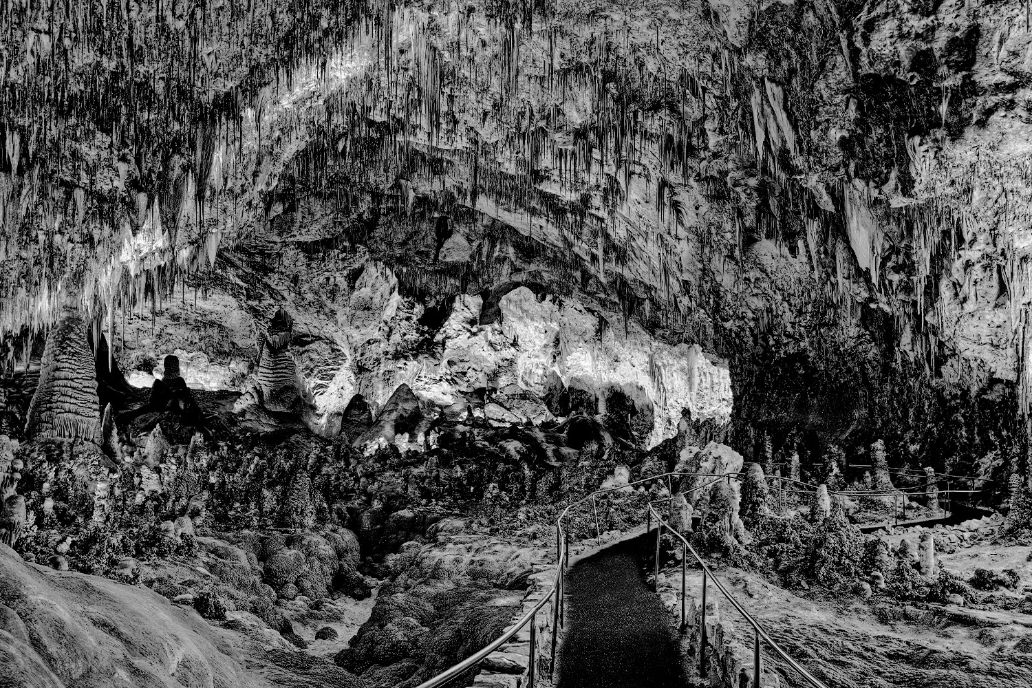 Carlsbad Caverns National Park