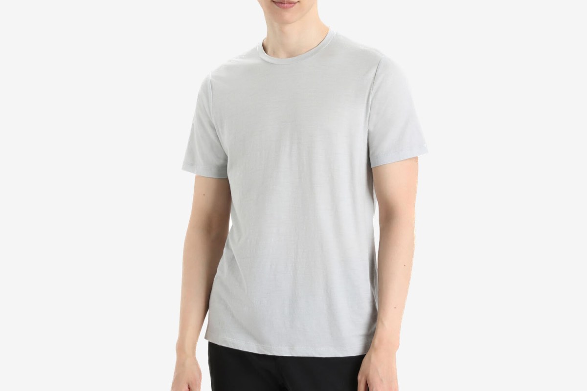 icebreaker Merino Tech Lite II T-Shirt