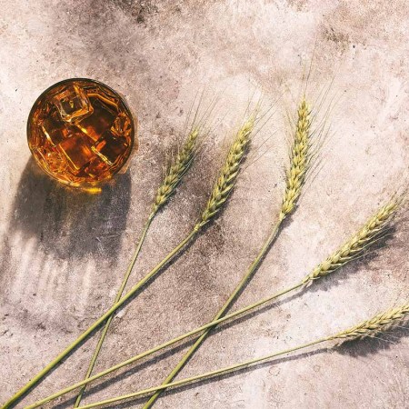 Whiskey in a glass with ice and ears of wheat or rye in the sunlight with long shadows on a beige rustic background. American rye whiskey is a growing but misunderstood category.