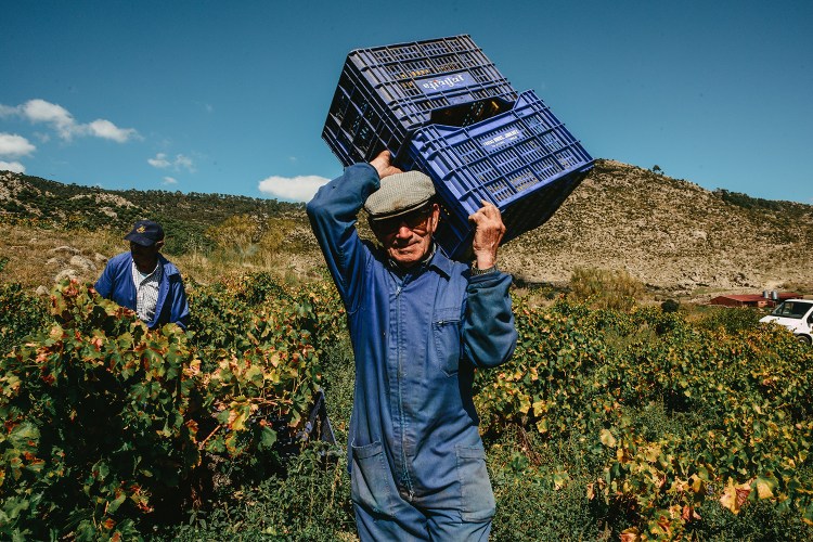 A man carrying crates through a farm.