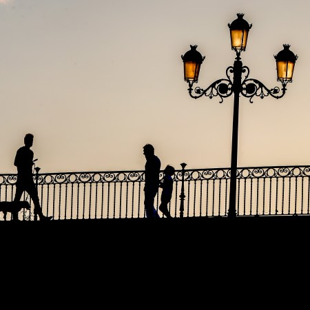 Father and son walking past a dog on a bridge at sunset.