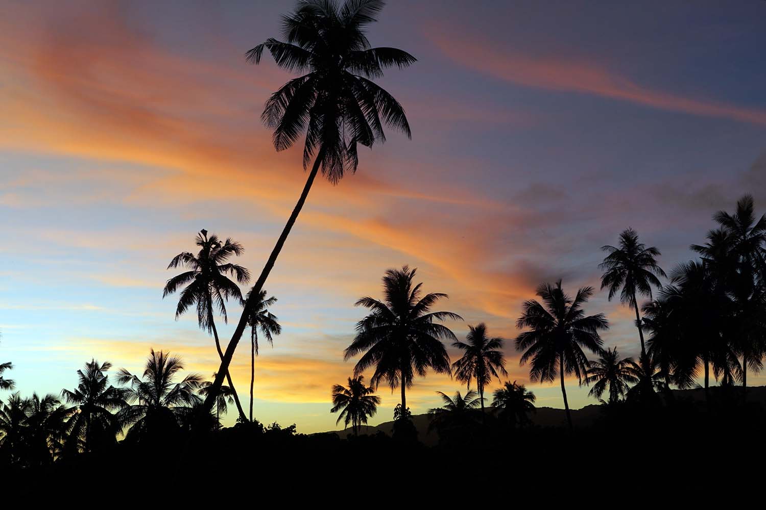 A “remote tropical South Pacific paradise”