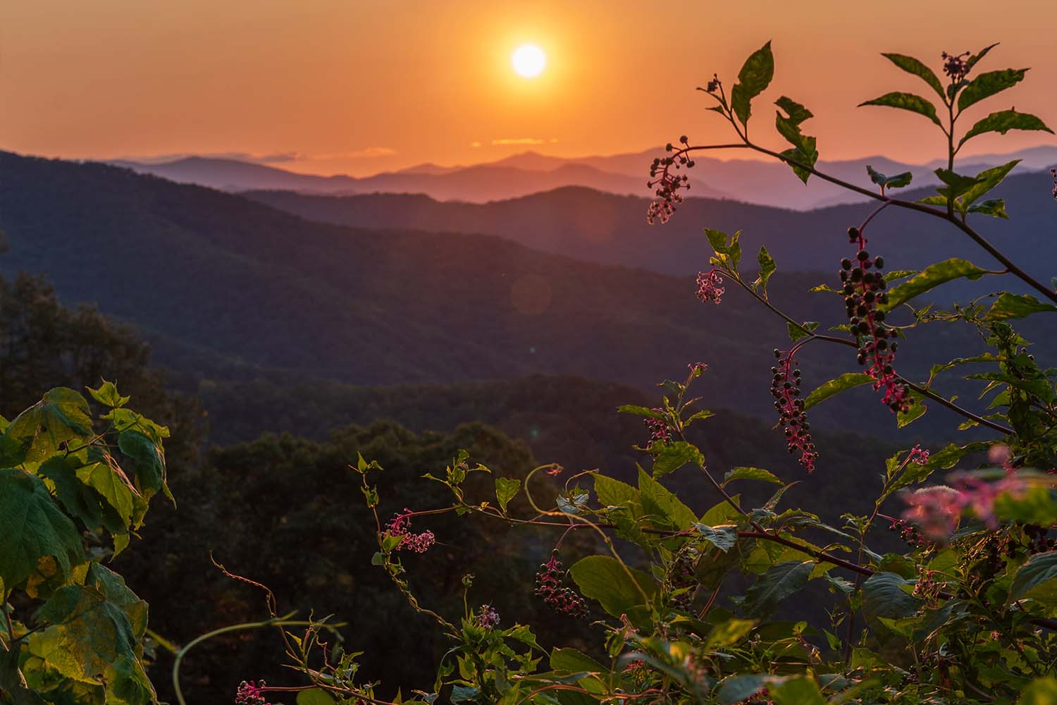 Asheville, North Carolina