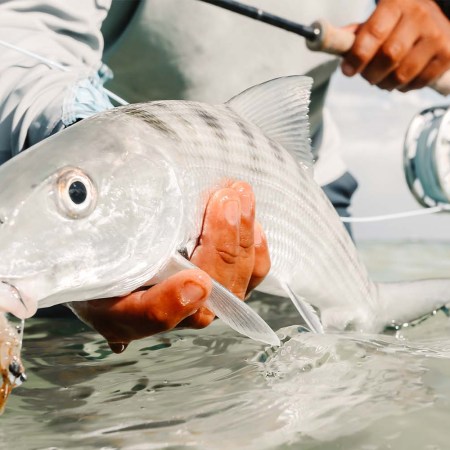 El Pescador Lodge is a bucket list item for saltwater fly anglers