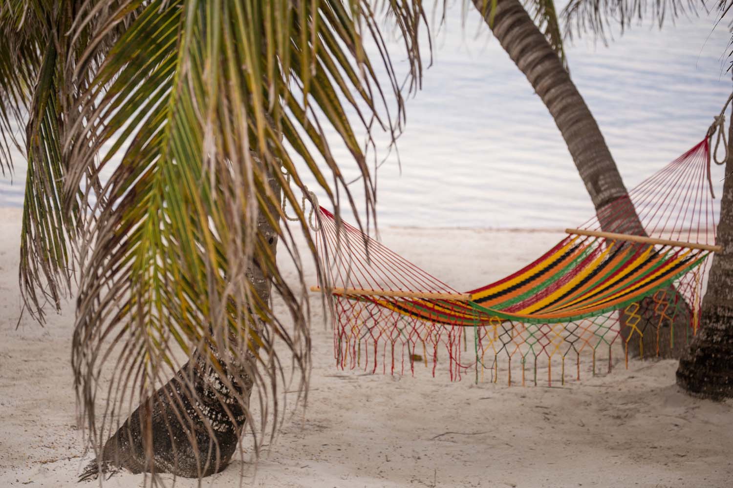 There's a little something for everyone at El Pescador, though.