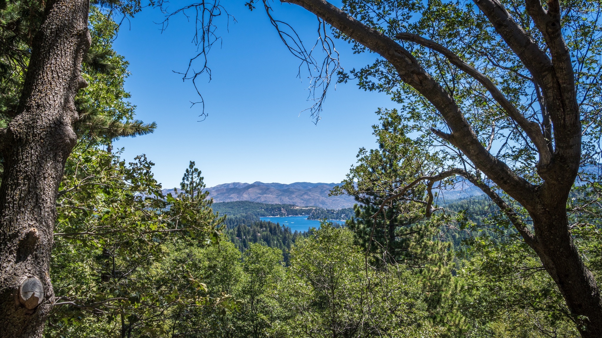 Will Abell Memorial Trail