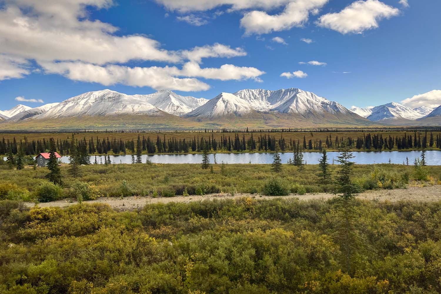 Chugging along past the spruce and birch forests, we glimpse several homesteader cabins