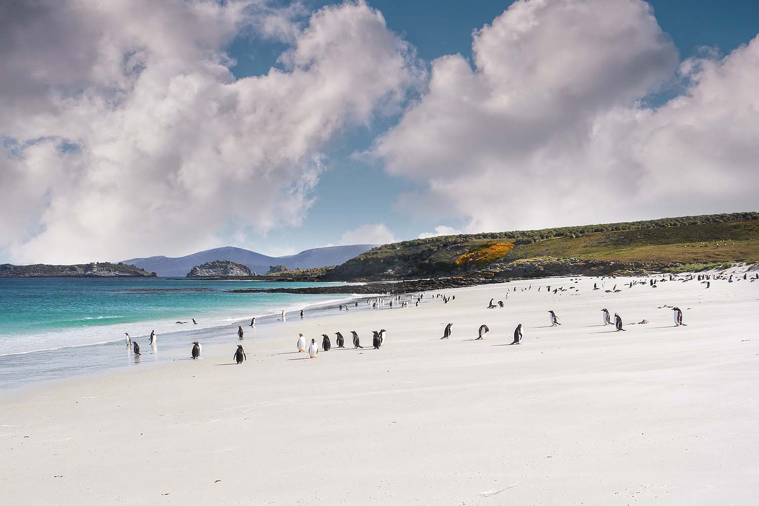 Falkland Islands