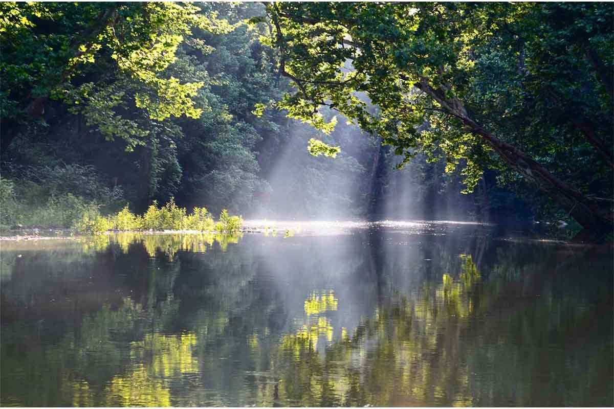 A pond in Kentucky