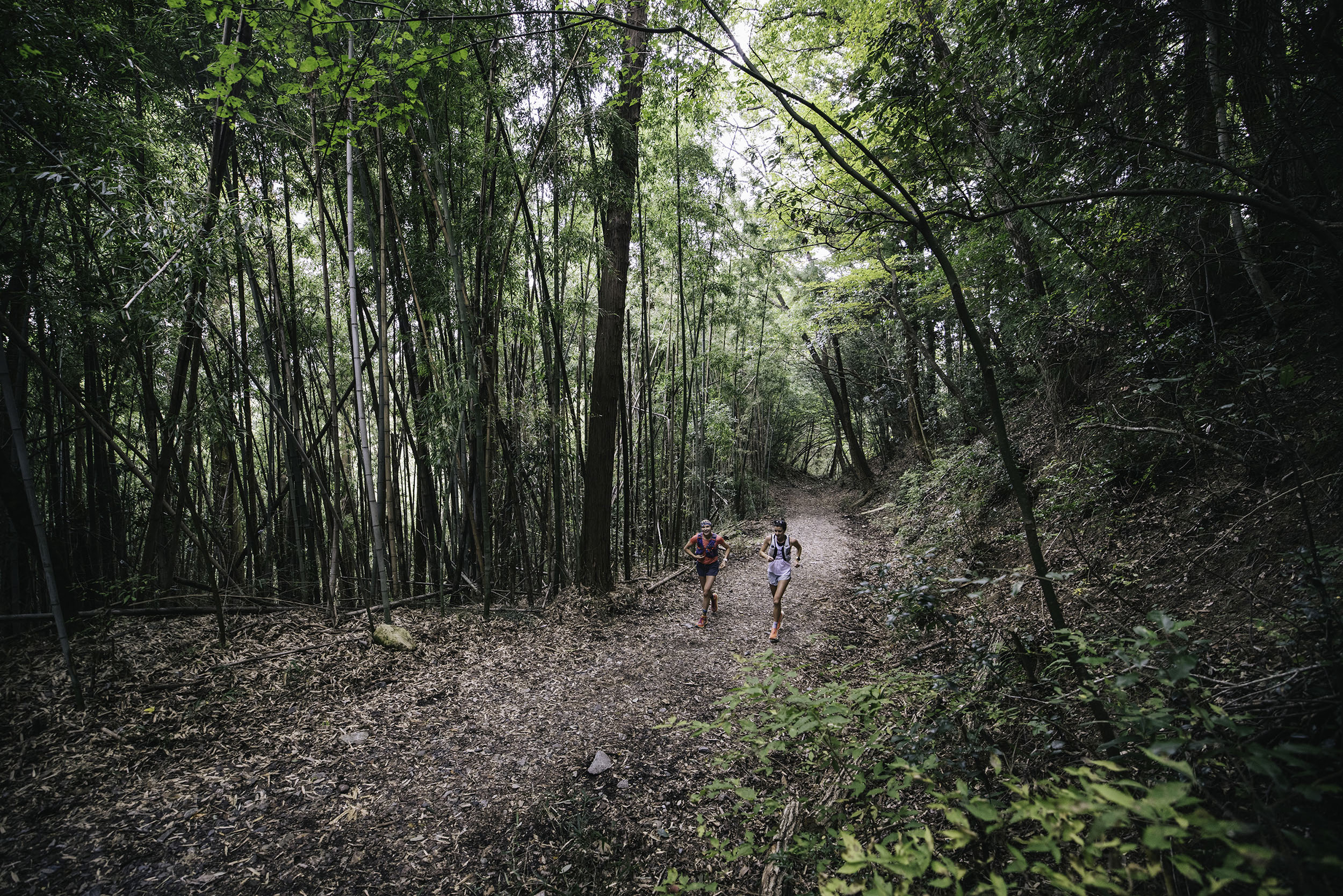 A pair of runners on a trail in the forest.
