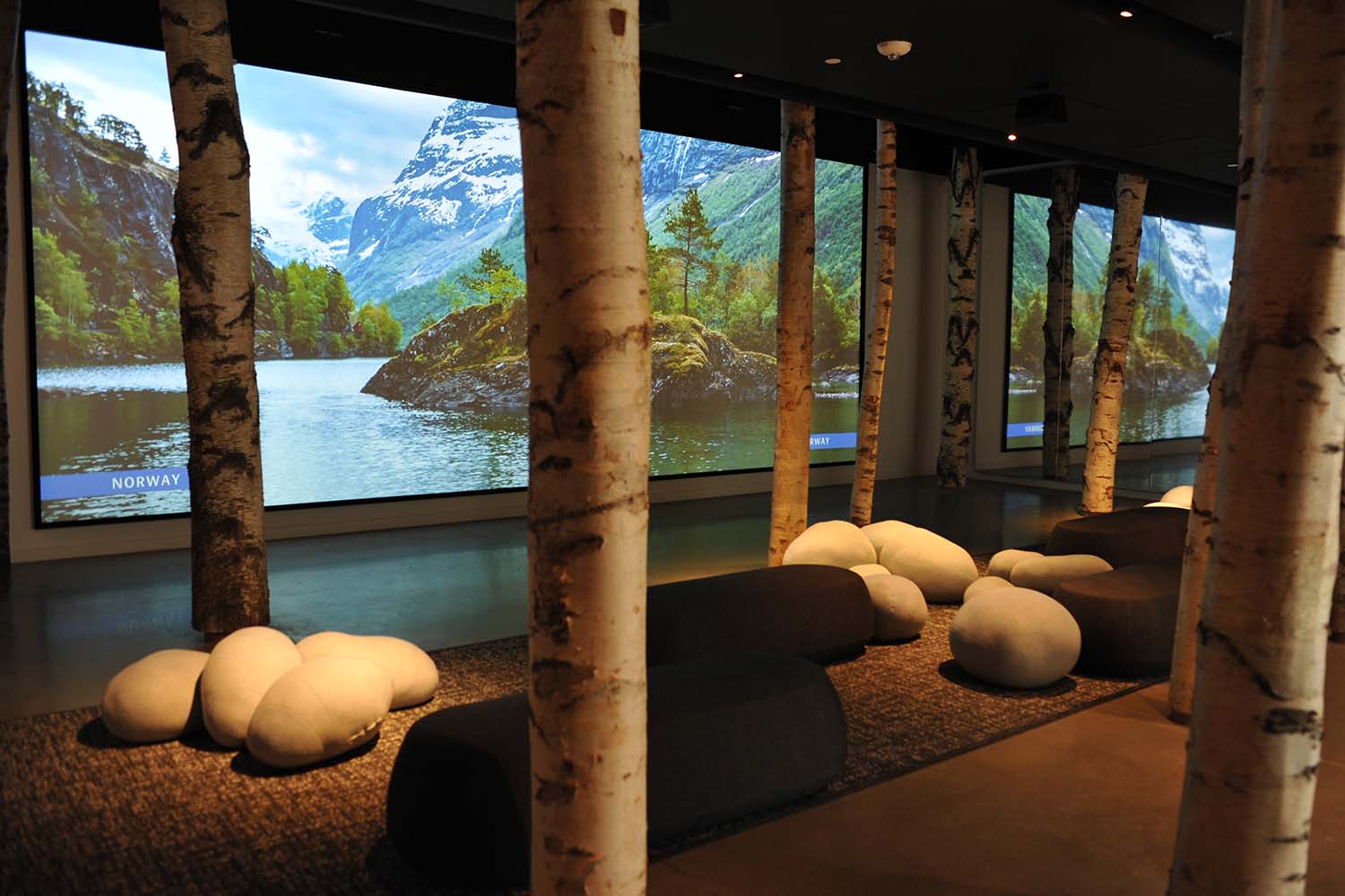 National Nordic Museum