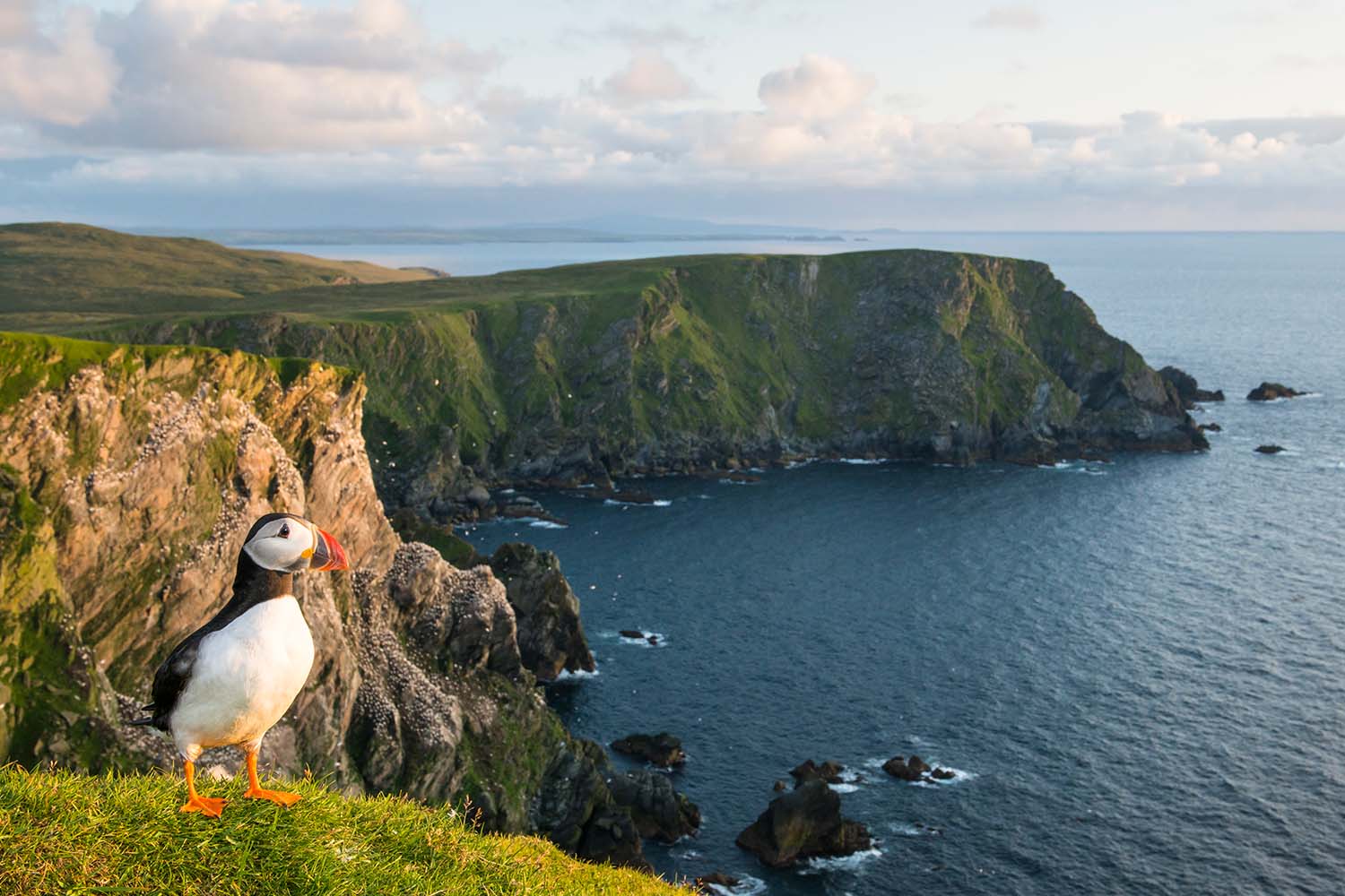 Shetland Islands
