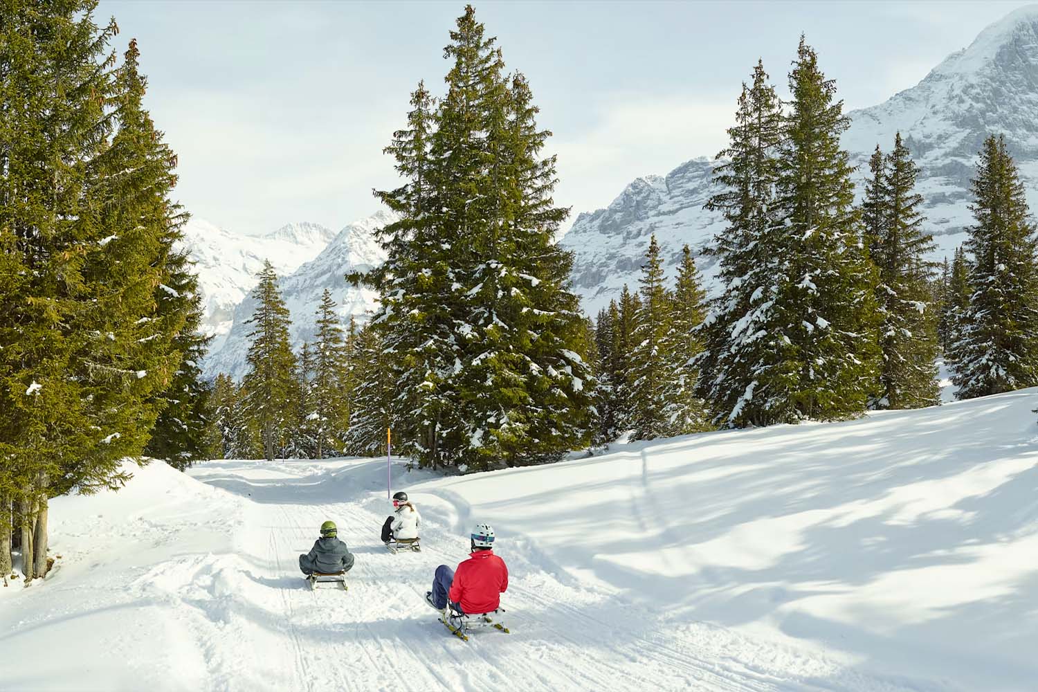 Sledding at Ritas Speedway