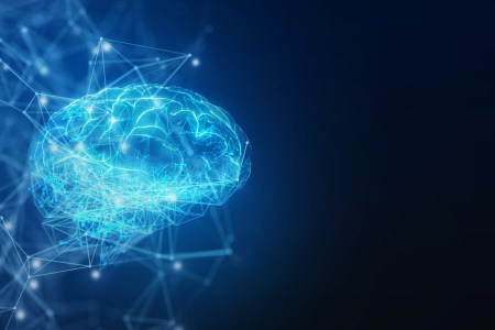 Brain illustration