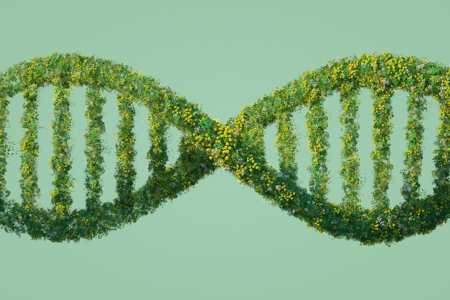 Gene image