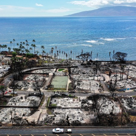 Maui fire aftermath