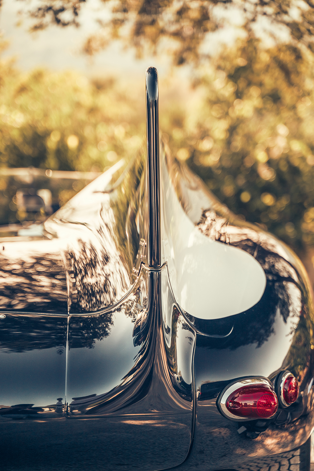 Jaguar D-type Continuation at Modena Cento Ore