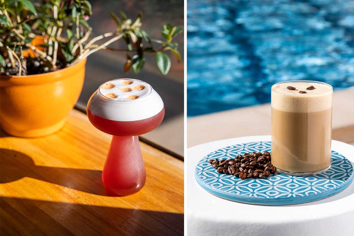 Two different cocktails and mocktails made with mushrooms