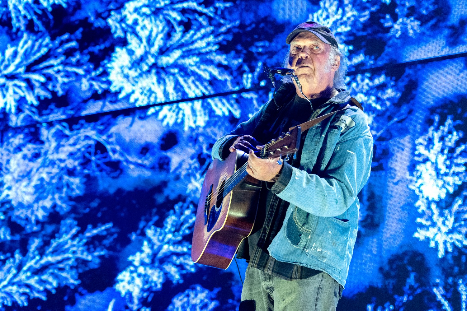 Neil Young in late 2023