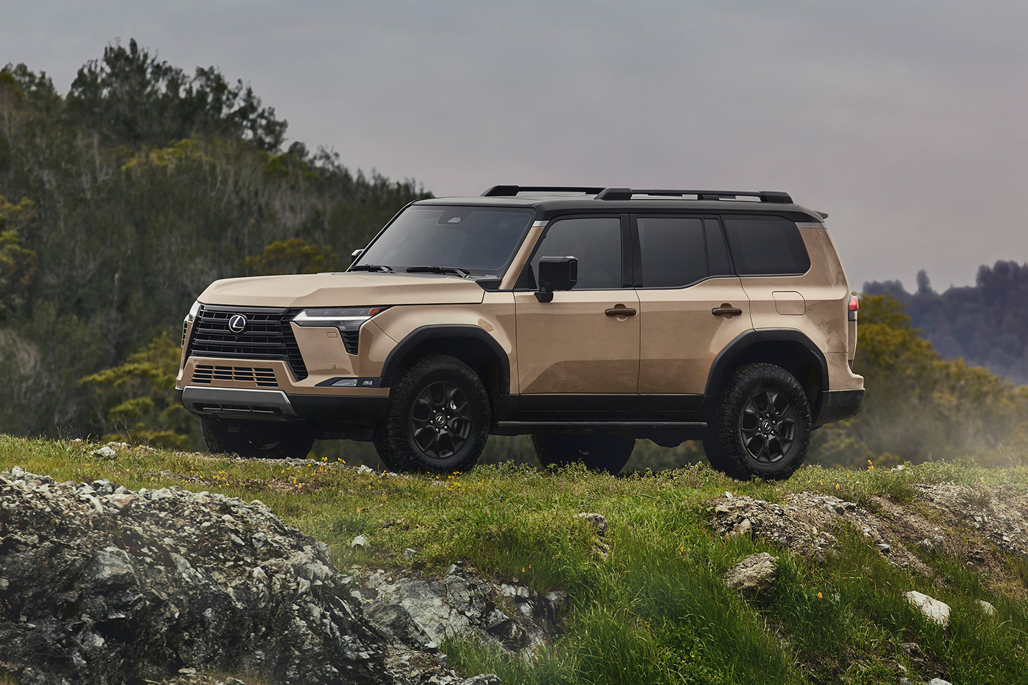 2024 Lexus GX