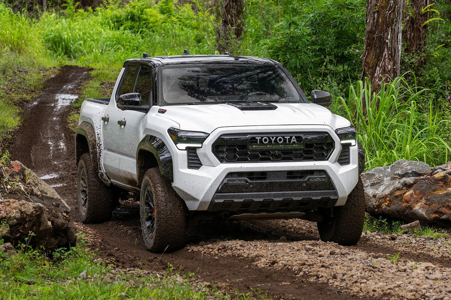 2024 Toyota Tacoma
