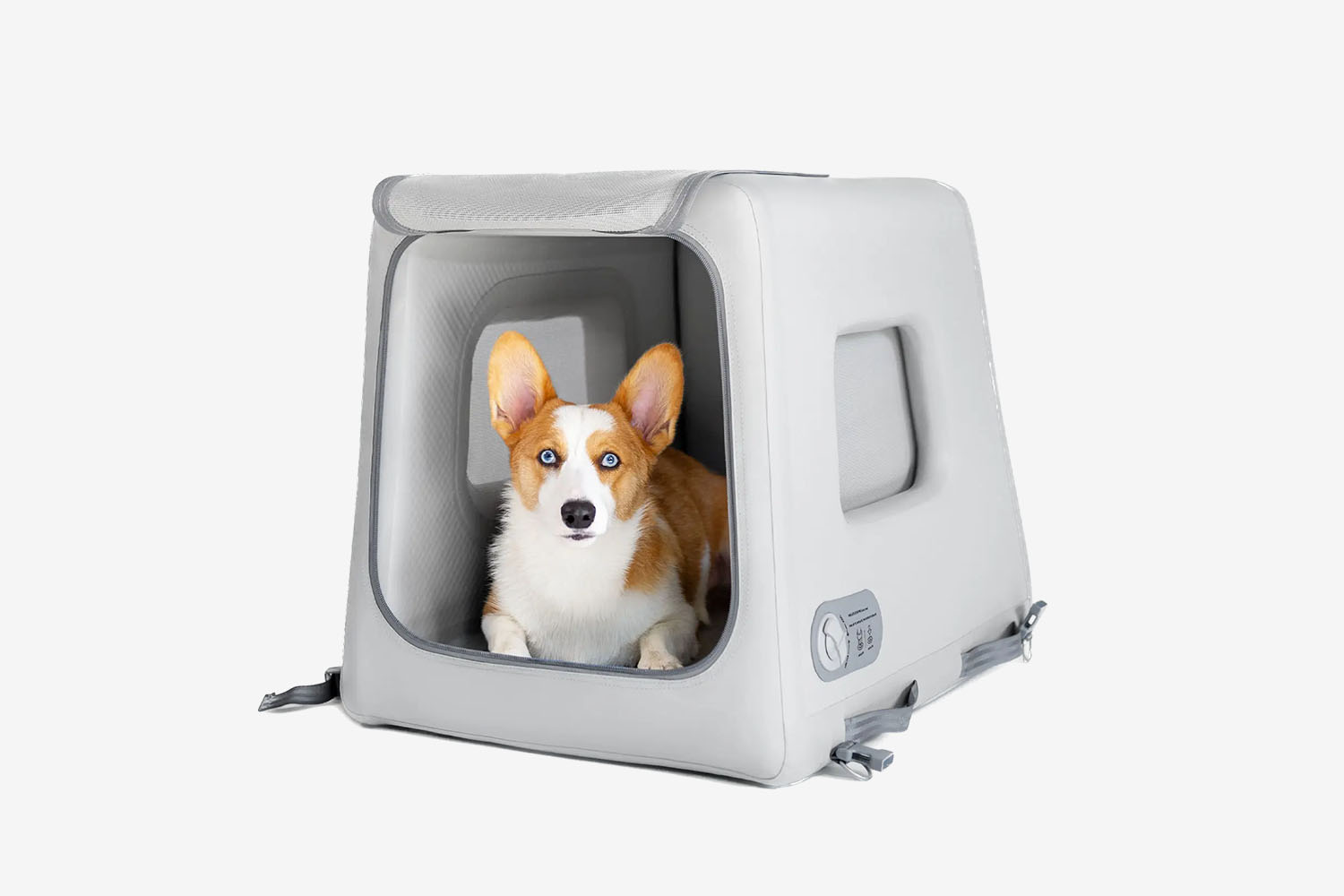 Diggs Enventur Travel Kennel