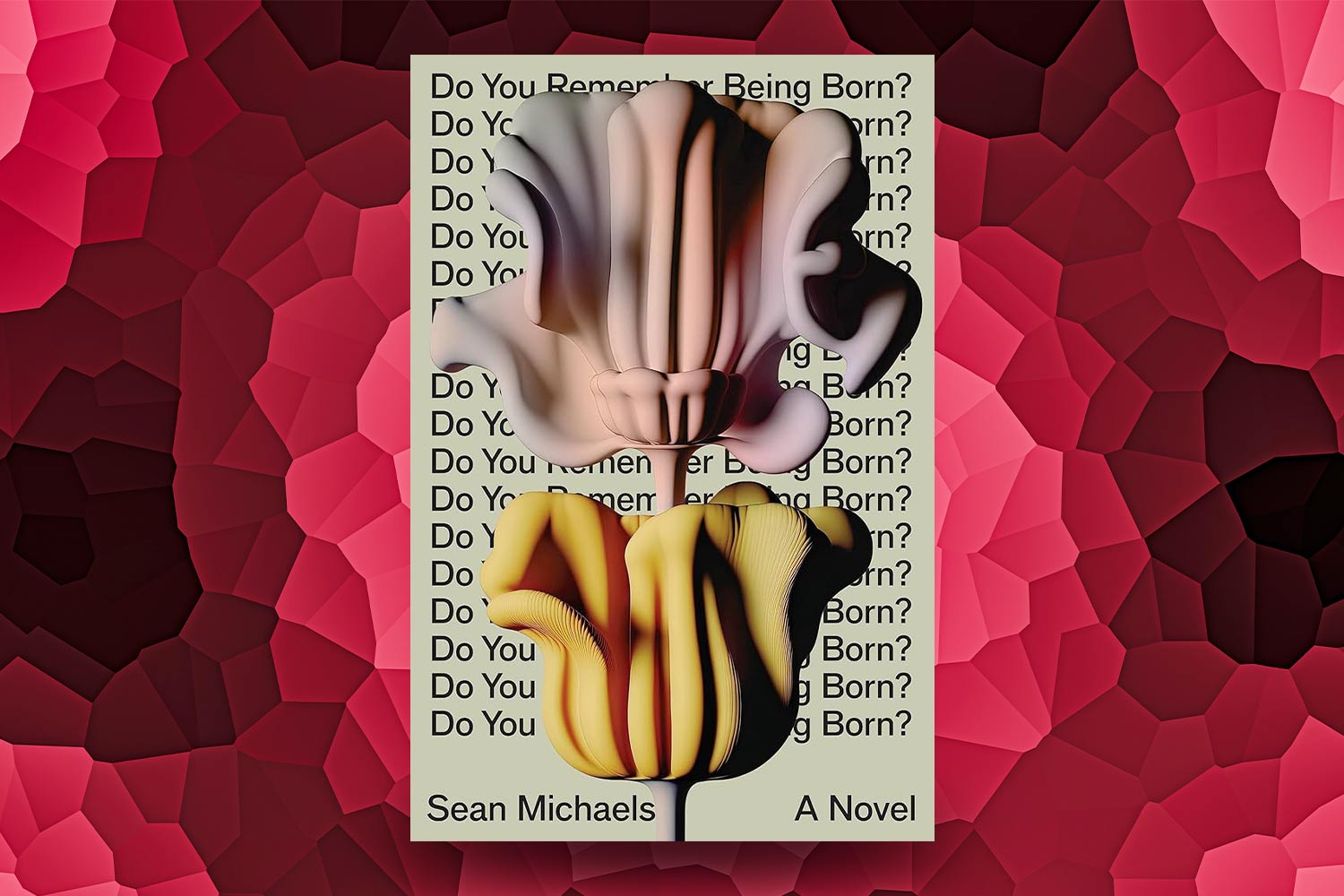 Sean Michaels, Do You Remember Being Born?