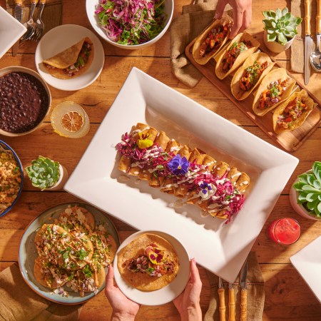 Spread of food on a table