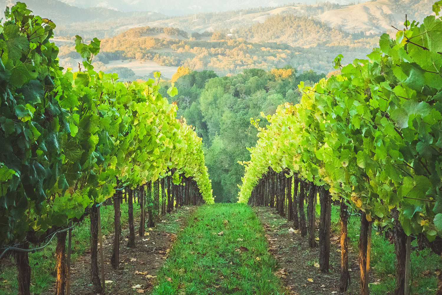 Healdsburg, California