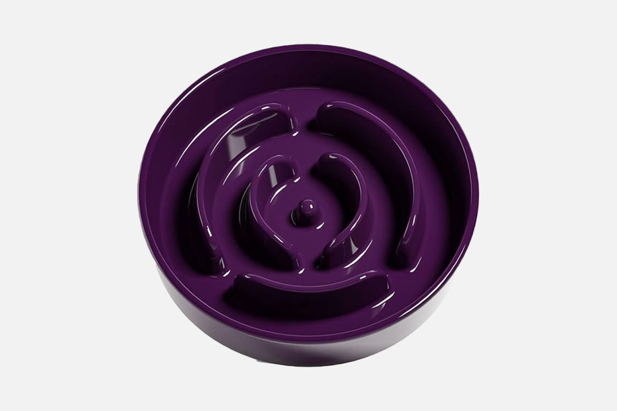 LE TAUCI Slow Feeder Ceramic 1.5 Cup Dog Bowl