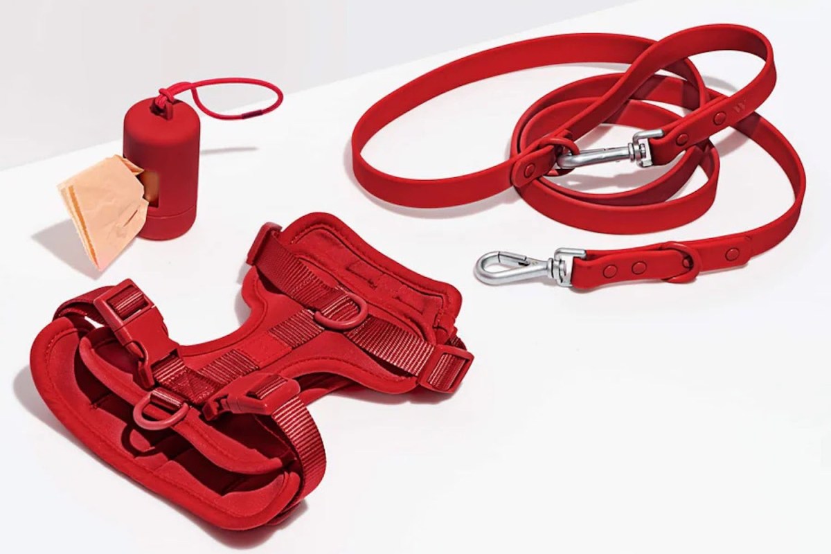 Wild One Walk Kit