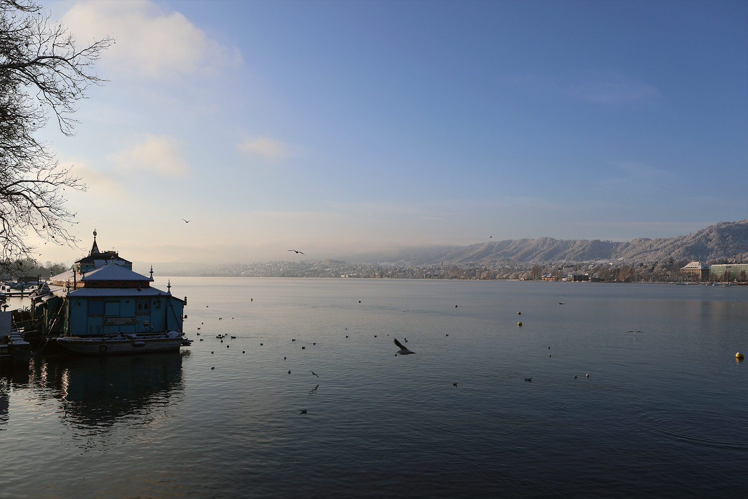 Lake Zurich