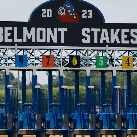 An empty starting gate at Belmont Park