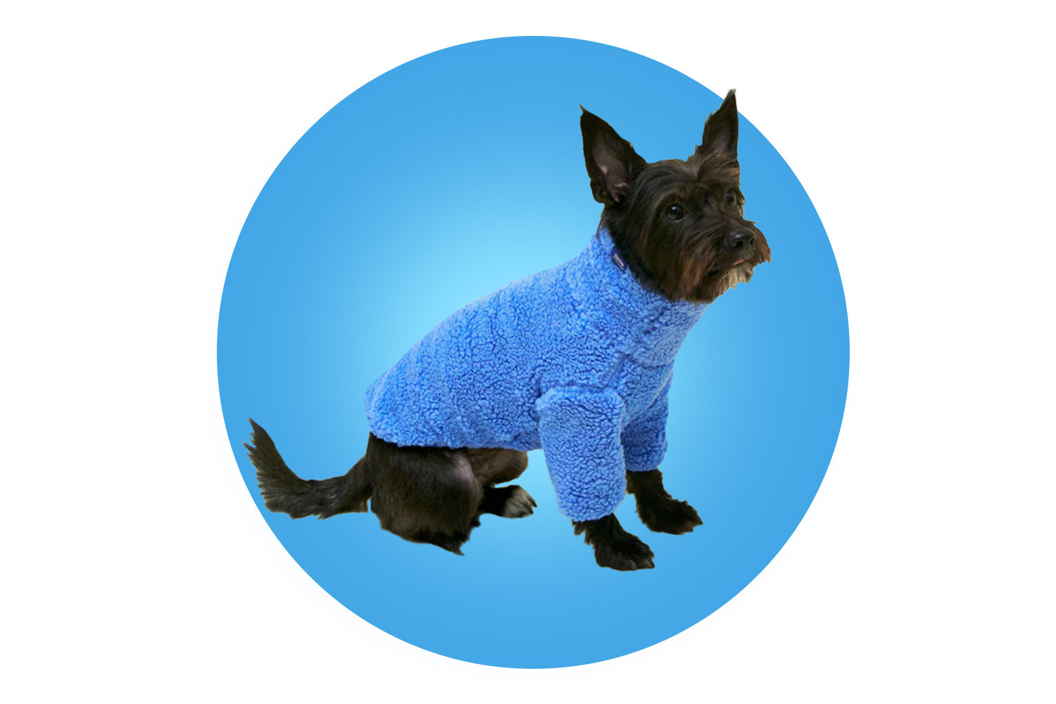 Little Beast Fleece Sweatshirt