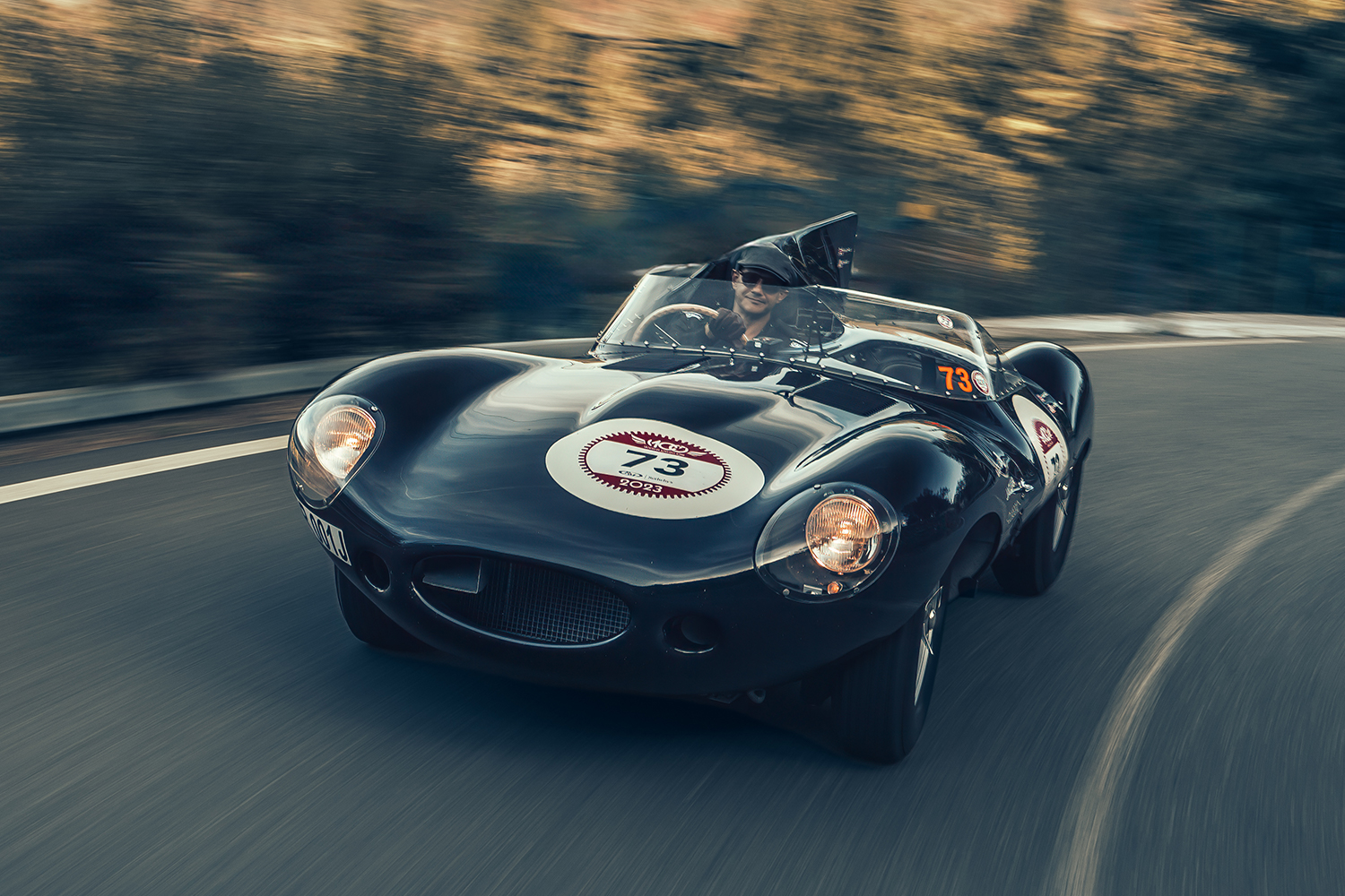 Jaguar D-Type Continuation