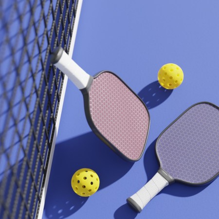 Pickleball balls and court