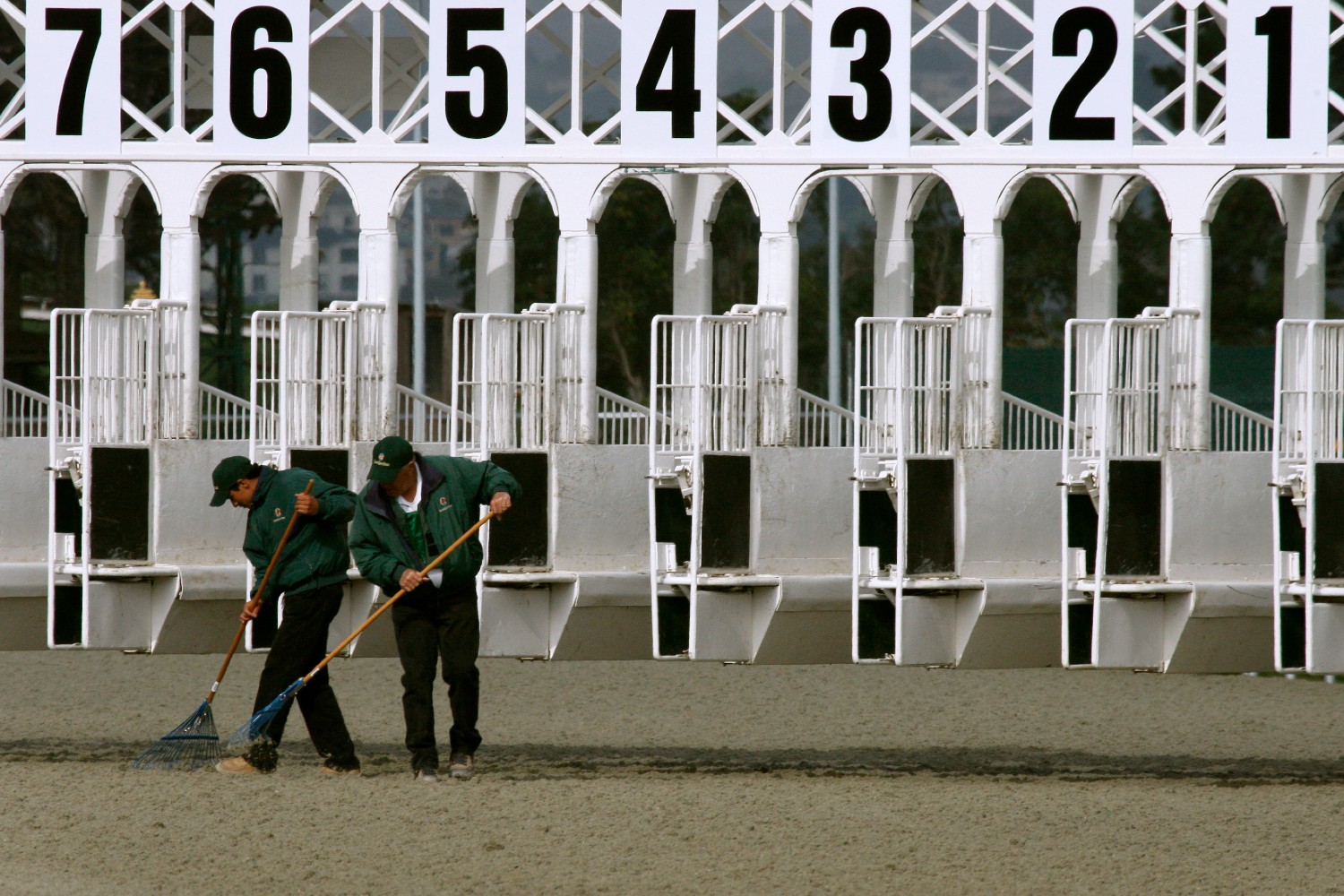 Golden Gate Fields