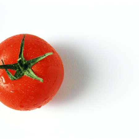 Tomato