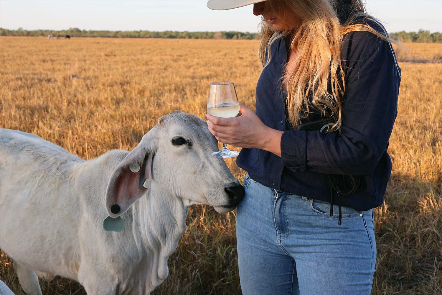 Scenes from Cows & Canapes