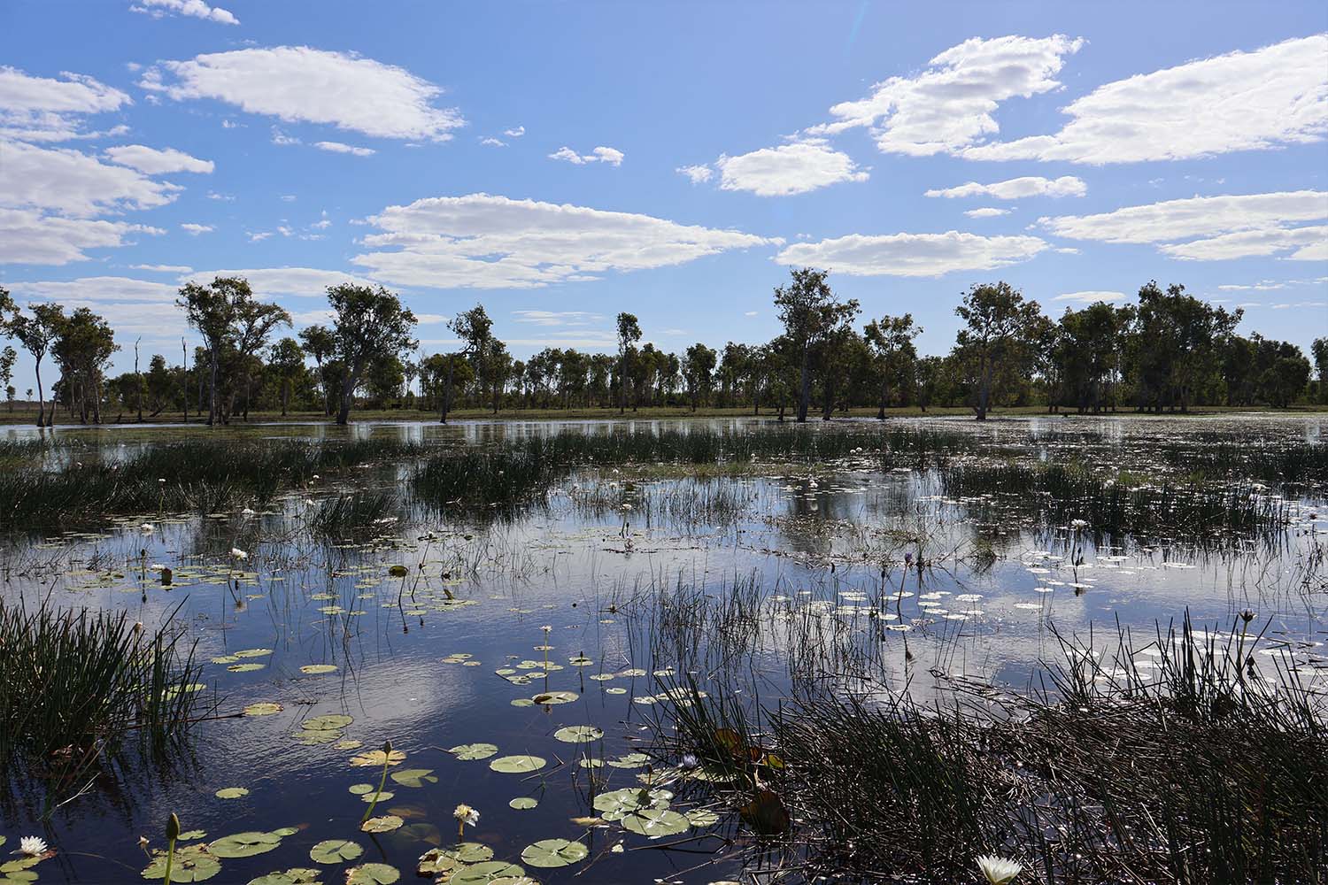 The flood plains