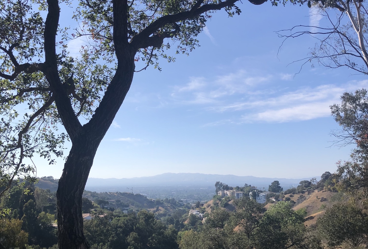View of LA and mountains from a peak along Fryman Canyon