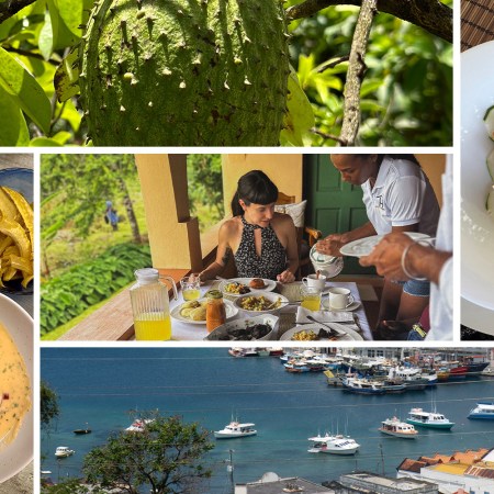 food experiences in grenada