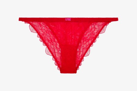 Love Stories Wild Rose
